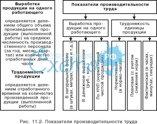 Как рассчитать производительность труда работников на предприятии.