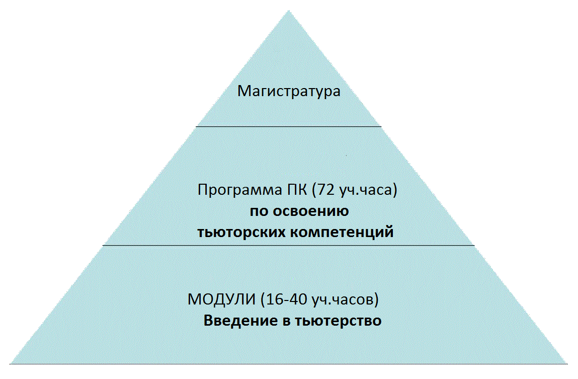 Методические материалы. Использование тьюторских технологий в подготовке  тьюторов и повышении квалификации специалистов образования по направлению  «Тьюторство»