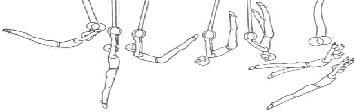 рис 3.32