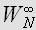 $W_{N}^{\infty }$