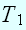 $T_{1}$
