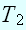 $T_{2}$