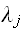 $\lambda _{j}$